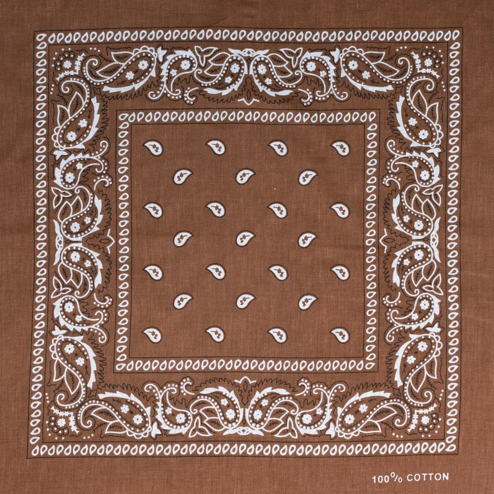 Brown Paisley